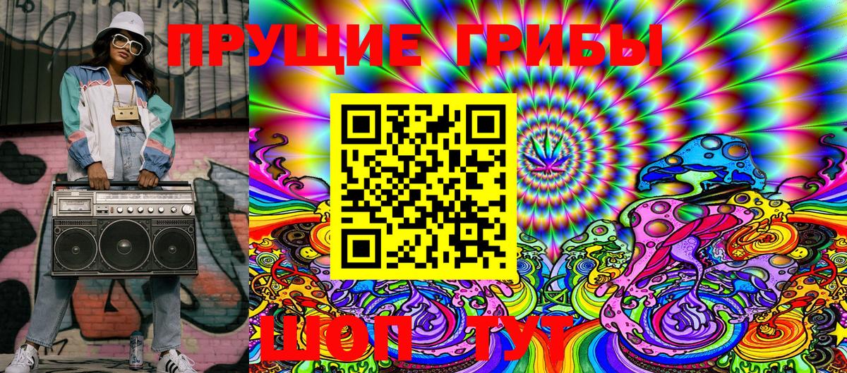 Псилоцибиновые грибы Cubensis Обь