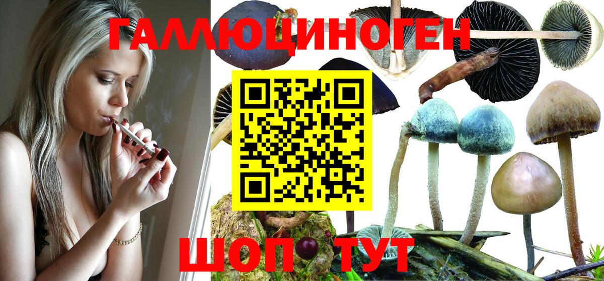 Обь  как найти закладки  Вход с VPN  Псилоцибиновые грибы мухоморы 